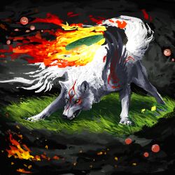 Rule 34 | amaterasu (ookami), animal focus, black background, character request, closed mouth, commentary, english commentary, fire, flower, grass, growling, highres, no humans, ookami (game), purple flower, red eyes, reflector (ookami), solo, sourful, teeth, three quarter view, white wolf, wolf, yellow eyes, yellow flower