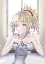 Rule 34 | 1girl, bandeau, bare arms, bare shoulders, blonde hair, camisole, cat, commentary, fate/apocrypha, fate (series), green eyes, highres, indoors, long hair, looking at viewer, meeneru, mordred (fate), mordred (fate/apocrypha), ponytail, solo, upper body