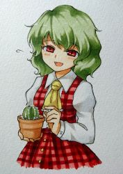 Rule 34 | 1girl, :d, absurdres, ascot, bad id, bad pixiv id, blush, cactus, collared shirt, flying sweatdrops, green hair, happy, highres, kazami yuuka, looking at viewer, miniskirt, open mouth, plaid, plant, potted plant, red eyes, sasa kichi, scan, scan artifacts, shirt, short hair, skirt, skirt set, smile, solo, touhou, traditional media, vest