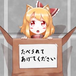 Rule 34 | 1girl, animal ears, blonde hair, blush stickers, bow, box, cardboard box, cat ears, collar, commentary, for adoption, hair bow, in box, in container, kemonomimi mode, looking at viewer, open mouth, red eyes, roco (katsuya1011), rumia, solo, touhou, translation request