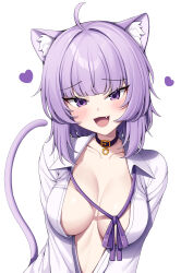Rule 34 | 1girl, :d, absurdres, ahoge, animal collar, animal ear fluff, animal ears, blush, breasts, cat ears, cat girl, cat tail, cleavage, collar, collarbone, collared shirt, dress shirt, fang, hair between eyes, heart, highres, hololive, large breasts, long sleeves, looking at viewer, metaljelly, neck ribbon, nekomata okayu, nekomata okayu (oversized shirt), no bra, open clothes, open mouth, open shirt, purple collar, purple eyes, purple hair, purple ribbon, ribbon, shirt, short hair, simple background, smile, solo, tail, upper body, virtual youtuber, white background, white shirt