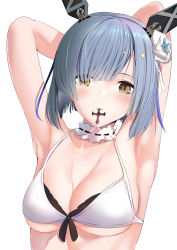 Rule 34 | 1girl, armpits, arms behind head, azur lane, bare shoulders, bikini, blue hair, breasts, choker, collarbone, fleur-de-lis, gascogne (azur lane), gascogne (tropical environs acclimation service equipment) (azur lane), gascogne (tropical environs acclimation service equipment) (azur lane), headgear, highres, looking at viewer, medium breasts, mouth hold, multicolored hair, parted lips, schreibe shura, short hair, simple background, solo, swimsuit, upper body, white background, white bikini, yellow eyes