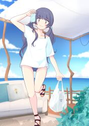 Rule 34 | 1boy, absurdres, blue sky, bulge, can, commentary request, couch, crossdressing, day, highres, holding, holding can, koushisong, leg up, long hair, male focus, ocean, original, outdoors, sandals, shirt, sky, smile, solo, standing, swimsuit, trap, twintails, water, white shirt