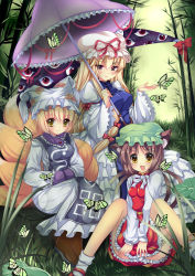 Rule 34 | 3girls, :3, :d, animal ears, bamboo, bamboo forest, blonde hair, brown hair, bug, butterfly, cat ears, cat girl, cat tail, chen, duji amo, earrings, female focus, forest, fox tail, gap (touhou), hands in opposite sleeves, hat, highres, bug, jewelry, long hair, multiple girls, multiple tails, nature, open mouth, purple eyes, short hair, smile, tail, touhou, umbrella, yakumo ran, yakumo yukari, yellow eyes