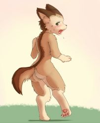 Rule 34 | androgynous, animal ears, animal hands, ass, back, barefoot, blush, fang, feet, furry, gender request, grass, looking back, nude, open mouth, outdoors, pawpads, soles, solo, spread toes, tail, toes, zenra