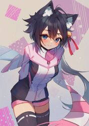 Rule 34 | 1girl, ahoge, animal ear fluff, animal ears, arms behind back, black hair, black thighhighs, blue eyes, blush, breasts, cat ears, closed mouth, commentary, commission, cowboy shot, english commentary, hair between eyes, highres, hyanna-natsu, jacket, leaning forward, looking at viewer, medium breasts, original, scarf, short hair, short shorts, shorts, smile, solo, thighhighs, wind