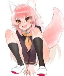Rule 34 | 1girl, animal ear fluff, animal ears, bad id, bad pixiv id, between legs, black shirt, black socks, blush, brown eyes, commentary request, dokomon, fang, full body, gradient hair, hair between eyes, hand between legs, highres, korean commentary, loafers, long sleeves, multicolored hair, murenase! shiiton gakuen, neckerchief, okami ranka, open mouth, orange neckerchief, pink hair, shirt, shoes, short shorts, shorts, simple background, socks, solo, squatting, tail, tail raised, uwabaki, v-shaped eyebrows, white background, white footwear, white hair, white shorts, wolf ears, wolf girl, wolf tail