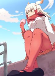 Rule 34 | 10s, 1girl, blue sky, blunt bangs, blush, breasts, buttons, cloud, coat, covered mouth, day, food, from below, full body, fur collar, gradient hair, half-closed eyes, head wings, japanese crested ibis (kemono friends), japari bun, jitome, kakiha makoto, kemono friends, multicolored hair, outdoors, pantyhose, red pantyhose, short hair with long locks, sitting, sky, solo, white hair, wings, yellow eyes
