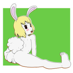 Rule 34 | carrot (one piece), furry, furry female, furry girl, highres, one piece, tagme