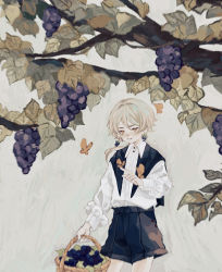 Rule 34 | 1boy, blonde hair, bug, butterfly, earrings, food, fruit, grapes, grey background, highres, hishida (koko escape), insect, jewelry, long sleeves, looking at viewer, low ponytail, male focus, original, pointing, ponytail, short hair, shorts, sketch, solo, tree, white background, yellow eyes