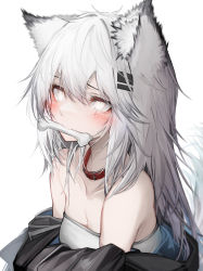 Rule 34 | 1girl, absurdres, animal ears, arknights, bare shoulders, black choker, blush, bone, breasts, choker, cleavage, commentary, grey eyes, hair between eyes, highres, lappland (arknights), long hair, mouth hold, silver hair, simple background, small breasts, solo, strapless, tab head, tube top, upper body, white background, wolf ears