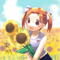 Rule 34 | 1girl, blouse, child, flower, flower field, ichigo mashimaro, lowres, matsuoka miu, oekaki, shirt, sleeveless, sleeveless shirt, solo, sunflower, sunflower field