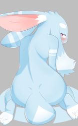 Rule 34 | 1other, absurdres, ass, back, barefoot, blue fur, blush, body fur, completely nude, feet, furry, grey background, half-closed eyes, highres, leaning forward, looking at viewer, looking back, nude, open mouth, original, other focus, rabbit ears, rabbit tail, red eyes, simple background, sitting, solo, tongue, tongue out, two-tone fur, usamimi (umisag85rabb99), wariza, white fur
