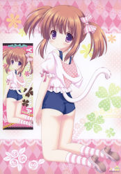 Rule 34 | 1girl, absurdres, animal ears, blush, brown hair, cat ears, cat girl, cat tail, female focus, flower, frills, full body, gradient background, hair ribbon, highres, kneeling, looking back, one-piece swimsuit, original, purple eyes, ribbon, school swimsuit, socks, solo, striped clothes, striped socks, swimsuit, tail, tsukishima yuuko, twintails, white background