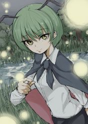 Rule 34 | 1girl, absurdres, antennae, black cape, black shorts, breasts, cape, closed mouth, collared shirt, commentary request, fireflies, forest, grass, green hair, hair between eyes, highres, kumasan (kumazonjp), long sleeves, looking at viewer, nature, night, outdoors, pond, red cape, shirt, short hair, shorts, small breasts, smile, solo, touhou, two-sided cape, two-sided fabric, upper body, water, white shirt, wriggle nightbug, yellow eyes