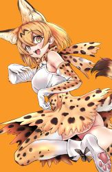 Rule 34 | 1girl, action, akegata tobari, animal ears, bare shoulders, blonde hair, blush, bow, bowtie, cat ears, cat girl, cat tail, commentary request, elbow gloves, extra ears, fangs, fingernails, gloves, high-waist skirt, highres, kemono friends, looking at viewer, multicolored hair, open mouth, orange background, paw print soles, print bow, print bowtie, print gloves, print skirt, print thighhighs, serval (kemono friends), serval print, sharp fingernails, shirt, short hair, simple background, skirt, sleeveless, solo, tail, thighhighs, traditional bowtie, white footwear, white shirt, yellow eyes, zettai ryouiki
