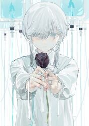 Rule 34 | 1boy, absurdres, blood, blood bag, closed mouth, collared shirt, flower, grey eyes, highres, holding, holding flower, iei000, intravenous drip, long sleeves, looking at viewer, medium hair, original, shirt, solo, upper body, white background, white hair, white shirt