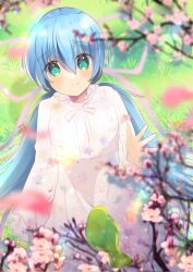 Rule 34 | 1girl, alternate costume, bird, bird request, blue hair, blurry, blush, branch, cherry blossoms, closed mouth, commentary request, commission, cowboy shot, day, depth of field, dress, eyelashes, eyes visible through hair, falling petals, floral print, from above, grass, green bird, green eyes, hair between eyes, hair ribbon, hand up, highres, hoshino yumemi, light particles, long dress, long hair, long sleeves, looking at animal, looking at viewer, low twintails, nature, neck ribbon, outdoors, petals, pink ribbon, planetarian, ribbon, second-party source, skeb commission, smile, solo, standing, tareme, twintails, ura (ura-tennislove), very long hair, waving, white dress, white ribbon, wide sleeves