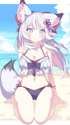 Rule 34 | 1girl, animal ear fluff, animal ears, beach, bikini, blue sky, bow, breasts, bright pupils, commission, daidai ookami, fox ears, fox girl, fox tail, full body, hair bow, hair ribbon, highres, letterboxed, light blush, long hair, looking at viewer, medium breasts, navel, original, purple bow, purple eyes, red bow, ribbon, side-tie bikini bottom, sitting, skeb commission, sky, smile, solo, swimsuit, tail, wariza, white bikini, white hair