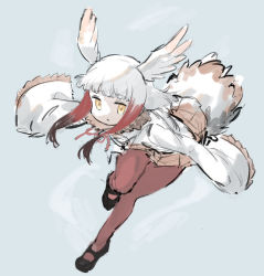 Rule 34 | 1girl, absurdres, bad id, bad pixiv id, bird tail, black footwear, blunt bangs, brown hair, frilled sleeves, frills, fur collar, head wings, highres, japanese crested ibis (kemono friends), kemono friends, kona ming, long sleeves, looking at viewer, mary janes, multicolored hair, orange skirt, outstretched arms, pantyhose, parted lips, red hair, red pantyhose, shirt, shoes, skirt, sleeves past fingers, sleeves past wrists, solo, spread arms, tail, white hair, white shirt, wide sleeves, wings, yellow eyes