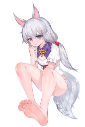Rule 34 | 1girl, absurdres, animal ear fluff, animal ears, bad id, bad pixiv id, barefoot, blue eyes, blush, commentary request, dokomon, feet, foot focus, foreshortening, fox ears, fox girl, fox tail, full body, hair between eyes, highres, honkai (series), honkai impact 3rd, kemonomimi mode, korean commentary, long hair, looking at viewer, low twintails, no pants, panties, parted lips, puffy short sleeves, puffy sleeves, shirt, short sleeves, silver hair, simple background, sitting, smile, solo, tail, theresa apocalypse, toes, twintails, underwear, very long hair, white background, white panties, white shirt