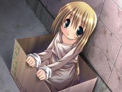 Rule 34 | 1girl, blue eyes, box, brown hair, cardboard box, for adoption, in box, in container, last story wa anata e, long hair, solo