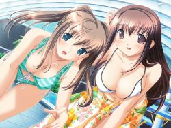 Rule 34 | 2girls, :d, adjusting hair, alto, alto (game), bent over, bikini, blue eyes, blush, breasts, breasts squeezed together, brown eyes, brown hair, clear blue communications, cleavage, covered erect nipples, downblouse, dutch angle, floral print, front-tie bikini top, front-tie top, game cg, green bikini, indoors, iwasaki kouji, large breasts, multiple girls, open mouth, pointing, pointing at viewer, pool, poolside, purple eyes, sarong, smile, striped bikini, striped clothes, swimsuit, tachibana megumi, tachibana saori, water slide, white bikini