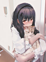 Rule 34 | 1girl, animal, animal hug, black hair, black hairband, blush, brown cat, cat, cat hair ornament, chromatic aberration, closed mouth, commentary, electrical outlet, film grain, hair between eyes, hair ornament, hairband, hairclip, highres, indoors, kimi to kanojo to kanojo no koi., long hair, long sleeves, looking at viewer, md5 mismatch, puffy long sleeves, puffy sleeves, red eyes, resolution mismatch, revision, shirt, smile, solo, sone miyuki, source smaller, tifg39, upper body, white shirt