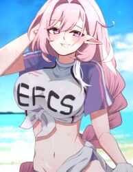 1girl absurdres blue_sky breasts clothes_writing commentary_request cowboy_shot day elysia_(herrscher_of_human:_ego)_(honkai_impact) elysia_(honkai_impact) elysia_(summer_2024)_(honkai_impact) hair_intakes hand_in_own_hair highres honkai_(series) honkai_impact_3rd large_breasts long_hair looking_at_viewer low-braided_long_hair low-tied_long_hair navel official_alternate_costume outdoors parted_lips partial_commentary pink_hair pointy_ears purple_eyes satoyukitowa shirt sky smile solo stomach tied_shirt very_long_hair wet white_shirt