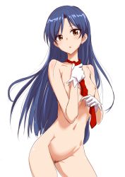 Rule 34 | 1girl, :o, blue hair, blush, breasts, clearite, female focus, female pubic hair, flat chest, gloves, highres, idolmaster, idolmaster (classic), kisaragi chihaya, long hair, looking at viewer, naked necktie, navel, necktie, nipples, nude, open mouth, pubic hair, simple background, small breasts, solo, standing, uncensored, very long hair, white background, white gloves, yellow eyes