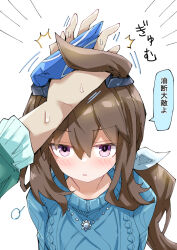 Rule 34 | 1girl, admire vega (umamusume), animal ears, blush, breasts, casual, hair between eyes, hair ornament, horse ears, horse girl, jewelry, medium breasts, necklace, nodachi (artist), ponytail, pov, pov hands, purple eyes, simple background, solo, stag beetle, sweat, sweater, translation request, umamusume, white background