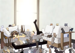 Rule 34 | 1girl, animal, animal on head, bad id, bad pixiv id, brown hair, cat, cat on head, coffee table, couch, crazy cat lady, highres, indoors, leg up, long hair, looking at viewer, lying, making-of available, nekobaka, no shoes, on head, on stomach, original, shadow, side ponytail, skirt, smile, solo, table, thighhighs, too many, too many cats, window