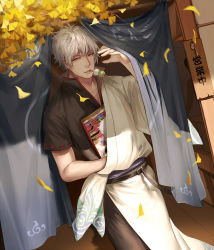 Rule 34 | 1boy, dango, day, dutch angle, food, gintama, j.w, leaf, looking at viewer, magazine (object), male focus, mouth hold, outdoors, red eyes, ribbon-trimmed sleeves, ribbon trim, sakata gintoki, short sleeves, shounen jump, silver hair, solo, wagashi