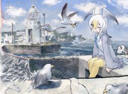 Rule 34 | 1girl, bad id, bad twitter id, bird, blonde hair, common gull (kemono friends), hair between eyes, head wings, highres, kemono friends, long sleeves, looking at viewer, multicolored hair, one eye closed, open mouth, outdoors, sitting, solo, thighhighs, toxicnyannyan, white hair, wings, yellow eyes, yellow thighhighs