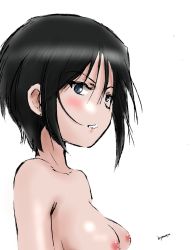 Rule 34 | 1girl, artist request, bare shoulders, black hair, blue eyes, blush, breasts, chouno ami, girls und panzer, highres, looking at viewer, nipples, nude, short hair, simple background, solo, tagme