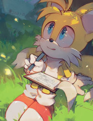 Rule 34 | 1boy, absurdres, blue eyes, blush, c52278, commentary, dated, drawing, english commentary, fox boy, furry, furry male, gloves, grass, highres, holding, holding pen, huge filesize, male focus, pen, shadow, shoes, sitting, solo, sonic (series), tails (sonic), white gloves