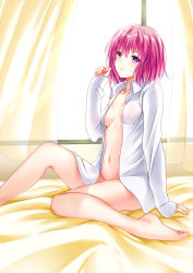 Rule 34 | absurdres, arm support, barefoot, breasts, breeze (wcf), curtains, dress shirt, groin, hair between eyes, highres, looking at viewer, momo velia deviluke, naked shirt, navel, open clothes, open shirt, pink eyes, pink hair, shirt, short hair, sitting, sleeves past wrists, small breasts, solo, thighs, to love-ru, window