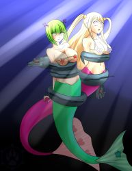 Rule 34 | 2girls, absurdres, alternate form, bare arms, bare shoulders, blonde hair, blush, bra, bracelet, brandish mew, breasts, brown eyes, cleavage, closed mouth, collarbone, fairy tail, fins, fish tail, full body, green eyes, green hair, groin, hair tie, hand tattoo, hand up, highres, jewelry, large breasts, long hair, looking down, lucy heartfilia, matching hair/eyes, mermaid, mermaid tail, mermaid transformation, monster girl, multiple girls, navel, necklace, pearl bracelet, pearl necklace, short hair, sky, star (sky), star (symbol), starry sky, surprised, tail, tattoo, transformation, twintails, underboob, underwater, underwear