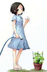 Rule 34 | 1girl, black hair, blue dress, casual, collared dress, commentary, dress, hair ornament, hairclip, holding, holding hose, hose, kakizaki (chou neji), kantai collection, kuroshio (kancolle), looking at viewer, medium dress, open mouth, plant, potted plant, sandals, short hair, short sleeves, simple background, smile, solo, standing, waving, white background, white footwear, yellow eyes