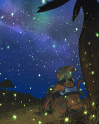 Rule 34 | 00s, 1girl, animal ears, belt, blonde hair, circlet, commentary, crop top, dark, detached sleeves, final fantasy, final fantasy xi, grass, highres, light particles, looking away, looking up, midriff, mithra (ff11), night, night sky, scenery, short hair, short twintails, sitting, sky, solo, star (sky), starry sky, tail, tree, twintails, wand, yuccoshi