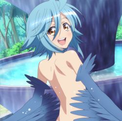 Rule 34 | 10s, 1girl, back, blue hair, blush, feathers, harpy, highres, monster girl, monster musume no iru nichijou, nude, open mouth, papi (monster musume), screencap, short hair, smile, solo, stitched, tagme, third-party edit, wings, yellow eyes
