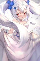 Rule 34 | 1girl, animal ears, azur lane, bare shoulders, blue flower, blush, breasts, commentary, dress, feathers, flower, gloves, hair flower, hair ornament, irokari, jewelry, laffey (azur lane), laffey (white rabbit&#039;s oath) (azur lane), looking at viewer, medium breasts, official alternate costume, pendant, red eyes, skirt hold, solo, twintails, upper body, wedding dress, white dress, white gloves, white hair