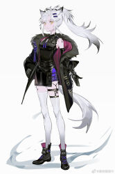 Rule 34 | 1girl, alternate costume, animal ears, arknights, black dress, black footwear, black gloves, black jacket, closed mouth, dress, elbow gloves, floating hair, full body, fur-trimmed jacket, fur trim, gloves, grey hair, hair ornament, hairclip, hand in pocket, highres, jacket, jinrouguguzhi, lappland (arknights), long hair, long sleeves, looking at viewer, material growth, off shoulder, open clothes, open jacket, oripathy lesion (arknights), ponytail, purple ribbon, purple skirt, ribbon, scar, scar across eye, shoes, simple background, skirt, sleeveless, sleeveless dress, smile, solo, standing, tail, tassel, thighhighs, third-party source, weibo logo, weibo watermark, white background, white thighhighs, wolf ears, wolf girl, wolf tail, yellow eyes