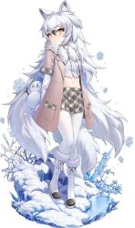 Rule 34 | 1girl, animal ear fluff, animal ears, arctic wolf (kemono friends), arms behind back, blush, boots, breasts, brown coat, coat, fang, full body, fur-trimmed boots, fur trim, game cg, gloves, hair between eyes, highres, holding own arm, holding snowman, kemono friends kingdom, long hair, looking at viewer, midriff, navel, official art, open clothes, open coat, pantyhose, plaid, plaid skirt, pleated skirt, skirt, small breasts, snow, snowflakes, solo, tail, third-party source, transparent background, very long hair, white gloves, white hair, white pantyhose, wolf ears, wolf girl, wolf tail, yellow eyes