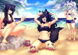 Rule 34 | 3girls, abs, aged down, alternate age, alternate hairstyle, animal ears, bandeau, barefoot, beach, bikini, bikini shorts, black hair, blue eyes, bow, braid, breasts, cat ears, cat girl, cloud, coconut, crab, crescentia fortuna, deathblight, drinking, drinking straw, empress (deathblight), fangs, fingernails, laika (deathblight), large breasts, lips, long fingernails, long hair, medium breasts, minori (deathblight), multiple girls, muscular, nail polish, navel, ocean, open mouth, palm tree, ponytail, purple eyes, rock, sand, scared, shorts, sky, smile, sparkle, strapless, strapless bikini, swimsuit, tail, tree, white hair, wolf ears, wolf girl, yellow eyes