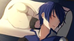 Rule 34 | 1boy, artist name, bed, blue hair, blush, cat, coat, commentary, closed eyes, fetal position, kaito (vocaloid), light blush, lying, male focus, nokuhashi, on back, parted lips, pillow, short hair, sleeping, sunlight, upper body, vocaloid