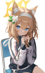 Rule 34 | 1girl, animal ear fluff, animal ears, artist request, blue archive, blue eyes, blush, chair, closed mouth, commentary request, flower, gym shorts, gym uniform, hair between eyes, hair flower, hair ornament, halo, headband, jacket, long hair, long sleeves, looking at viewer, mari (blue archive), mari (track) (blue archive), multicolored clothes, multicolored jacket, official alternate costume, orange hair, playing with own hair, shorts, simple background, sitting, smile, solo, track jacket, two-tone jacket, white background, white flower, white headband, yellow halo