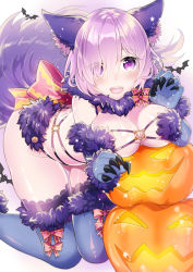 Rule 34 | 1girl, :d, animal ears, bad id, bad pixiv id, blush, breasts, elbow gloves, fate/grand order, fate (series), fur-trimmed legwear, fur trim, gloves, hair over one eye, halloween costume, jack-o&#039;-lantern, kurisu takumi, lace, lace-trimmed legwear, lace trim, large breasts, looking at viewer, mash kyrielight, mash kyrielight (dangerous beast), o-ring, o-ring bottom, o-ring top, official alternate costume, open mouth, purple eyes, purple hair, short hair, smile, solo, tail, thighhighs, wolf ears, wolf tail