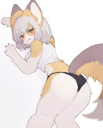 Rule 34 | 1girl, :3, animal ears, ass, body fur, breasts, crop top, furry, furry female, large breasts, licking lips, orange eyes, original, panties, pemi (spommmm), solo, tail, tongue, tongue out, underwear, white background, white hair