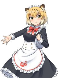 Rule 34 | 1girl, absurdres, alternate costume, animal ears, apron, black dress, blonde hair, bow, bowtie, collar, commentary request, cowboy shot, dress, enmaided, extra ears, frilled apron, frilled collar, frilled cuffs, frills, high collar, highres, jaguar (kemono friends), jaguar ears, jaguar girl, japari symbol, kemono friends, kemono friends 3, long dress, long sleeves, looking at viewer, maid, maid apron, maid headdress, multicolored hair, official alternate costume, red bow, red bowtie, shiraha maru, short hair, simple background, smile, solo, split mouth, standing, tray, white apron, white background, white hair, yellow eyes